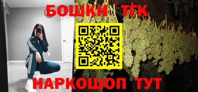 гидра Гатчина