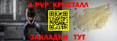 гидра Гатчина
