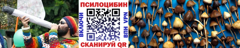 ОМГ ОМГ ТОР  Изобильный  Галлюциногенные грибы Cubensis  сколько стоит 