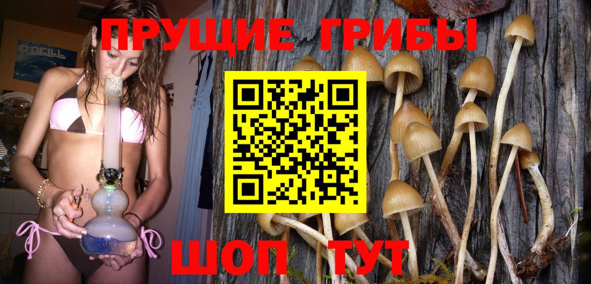 Псилоцибиновые грибы Magic Shrooms  Изобильный  Галлюциногенные грибы прущие грибы 