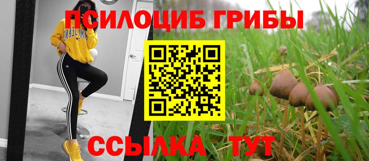 Изобильный  Псилоцибиновые грибы Psilocybine cubensis  Вход с VPN 