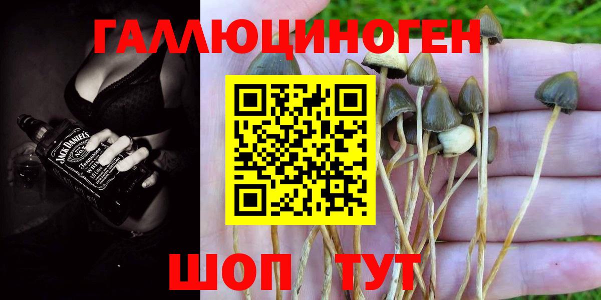 Псилоцибиновые грибы Psilocybine cubensis Изобильный